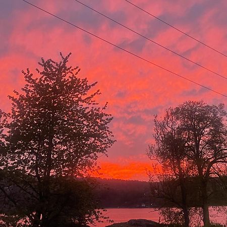 Hyttelaven Pa Furuholmen Sarpsborg Esterno foto