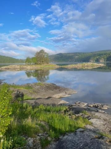 Hyttelaven Pa Furuholmen Sarpsborg Esterno foto