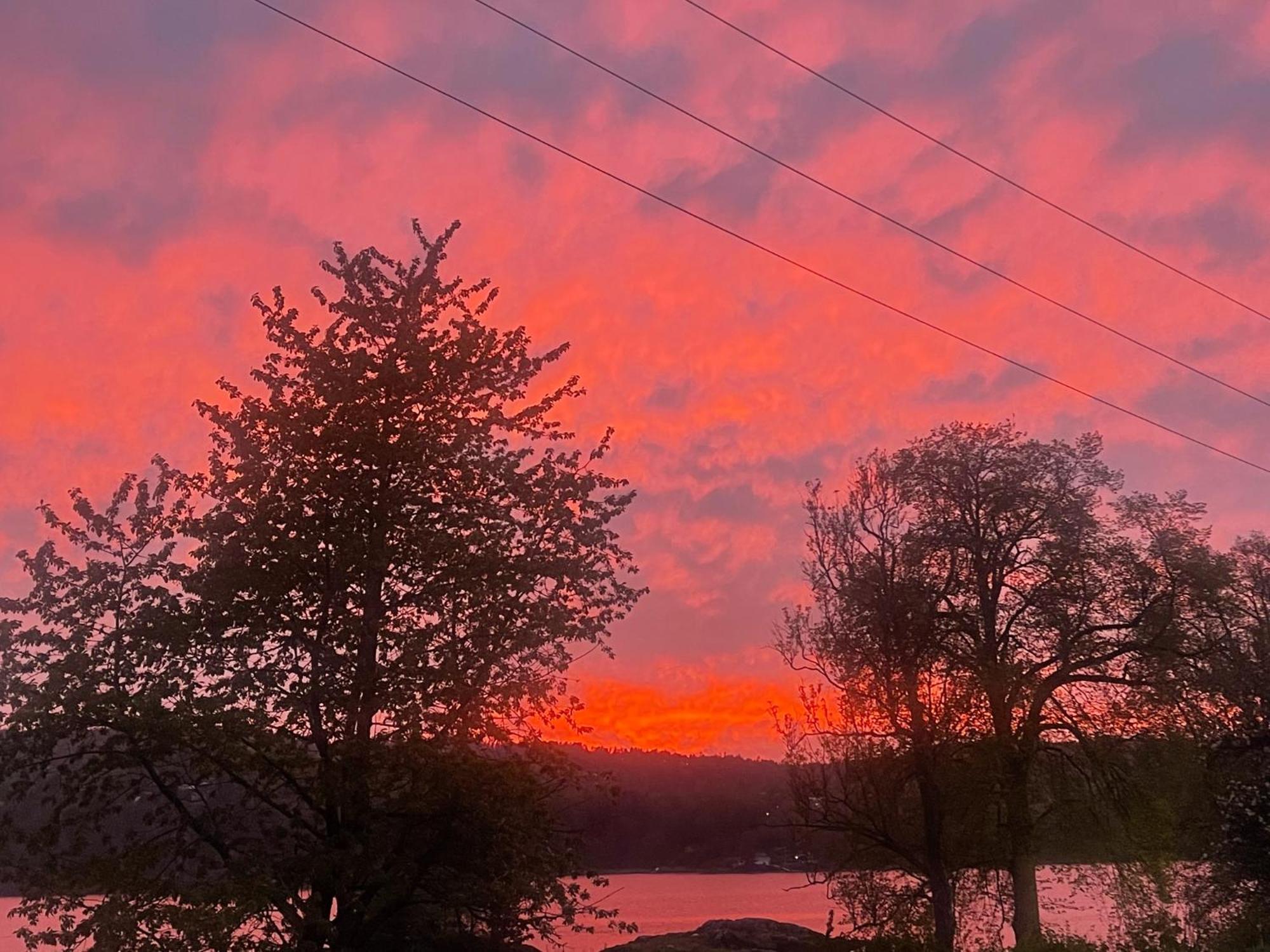 Hyttelaven Pa Furuholmen Sarpsborg Esterno foto